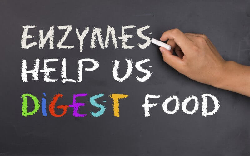 Digestive Enzymes Benefits